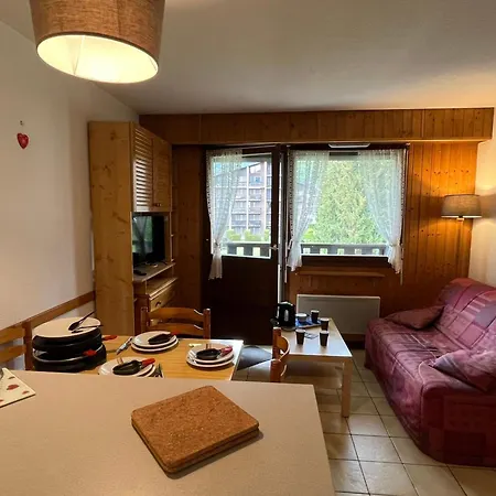 아파트 Cosy Pour 4 Pers., Balcon, A - Fr-1-629-117 사모엥